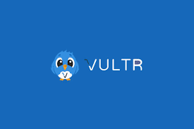 记一次 vultr 的奇怪经历 reserved ip 变成了一个没见过的ip
